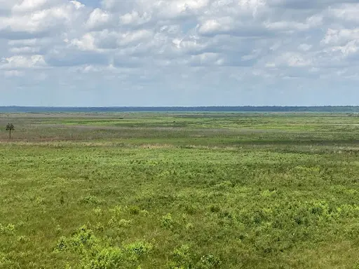 Photo from the Visitors Center of the open range on a sunny day